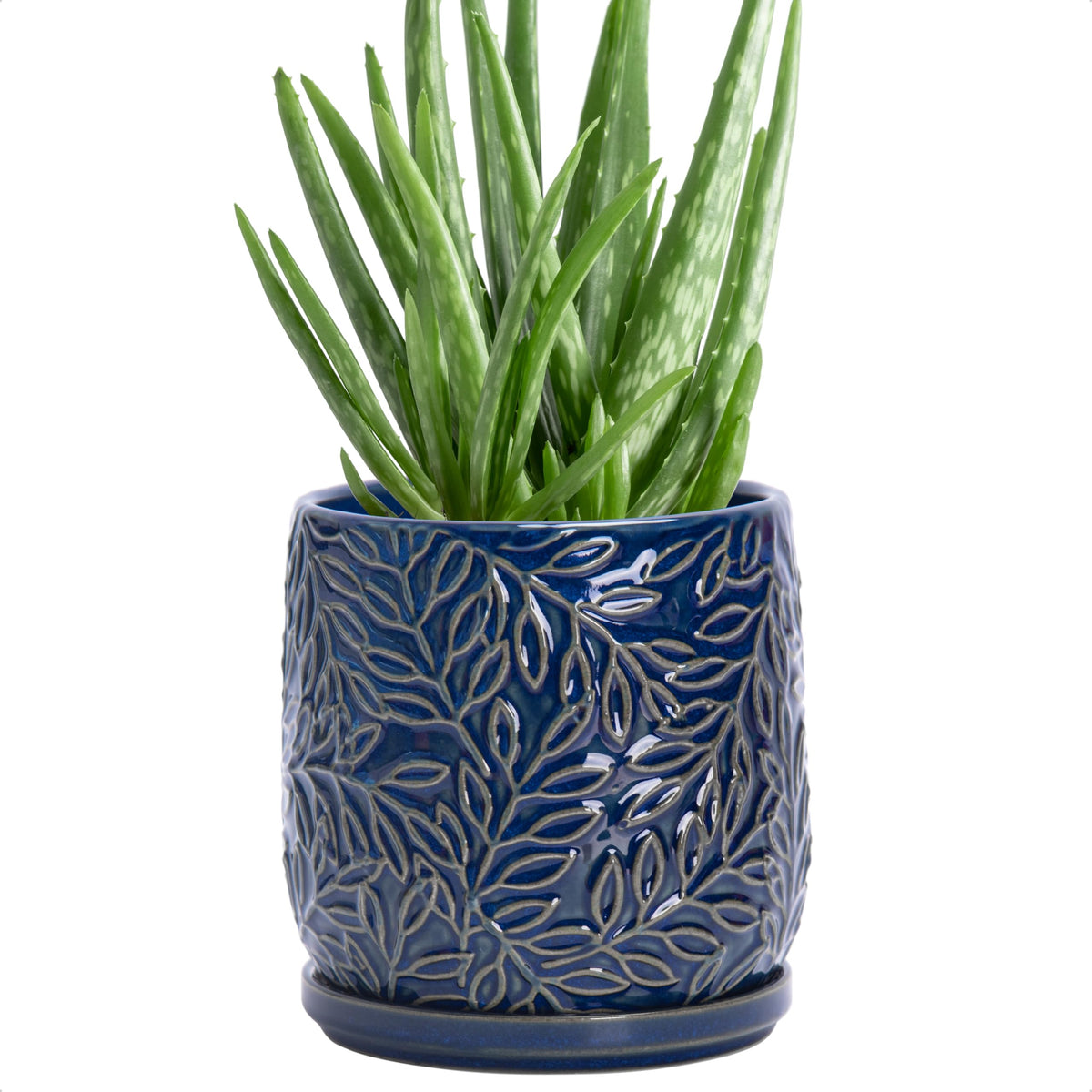 D'vine Dev maceta frontal mostrando acabado Midnight Blue y estilo decorativo