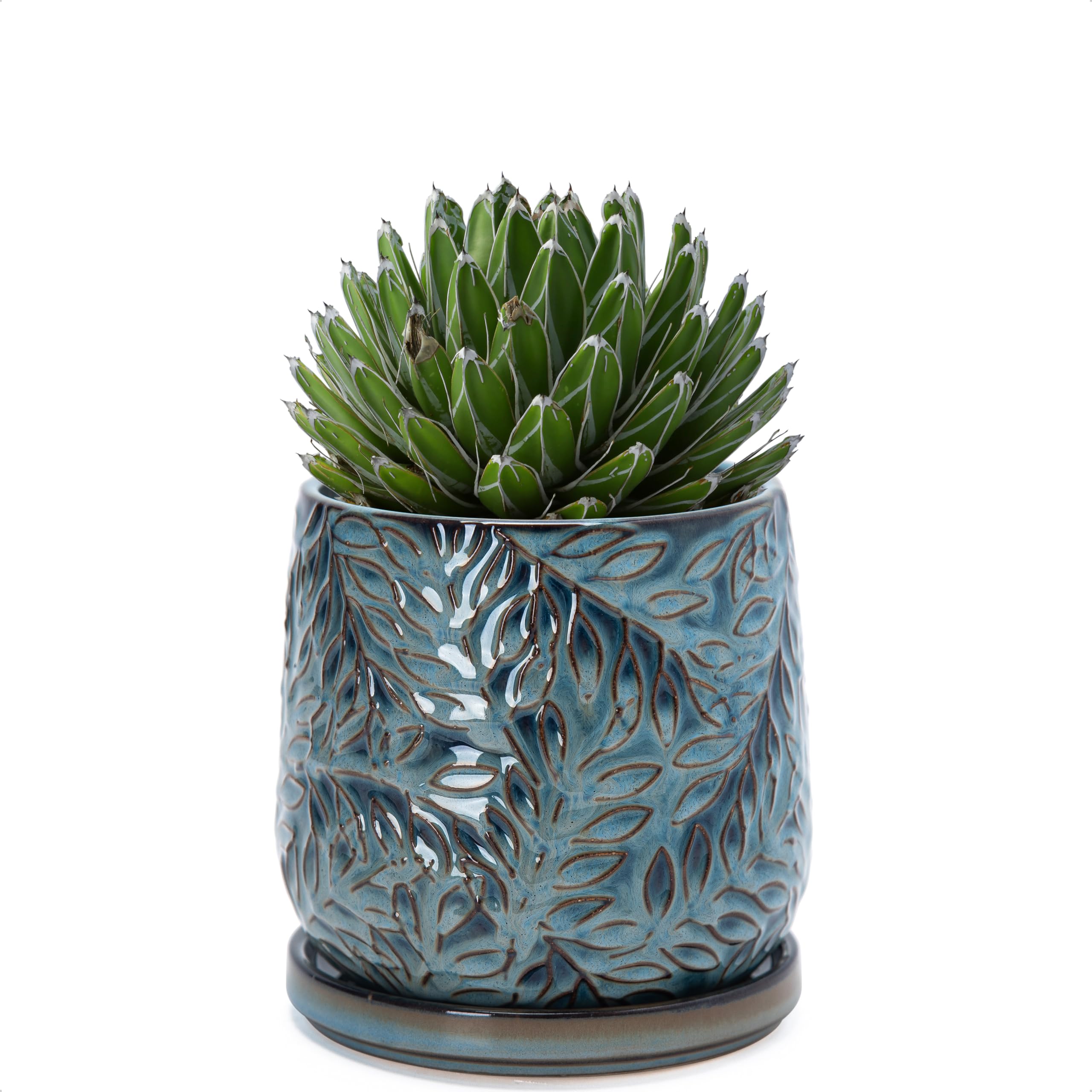 D'vine Dev maceta frontal Ocean Teal mostrando diseño y beneficio decorativo