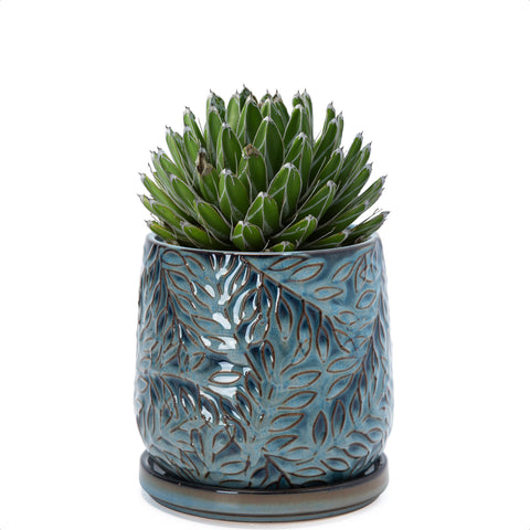 D'vine Dev maceta frontal Ocean Teal mostrando diseño y beneficio decorativo