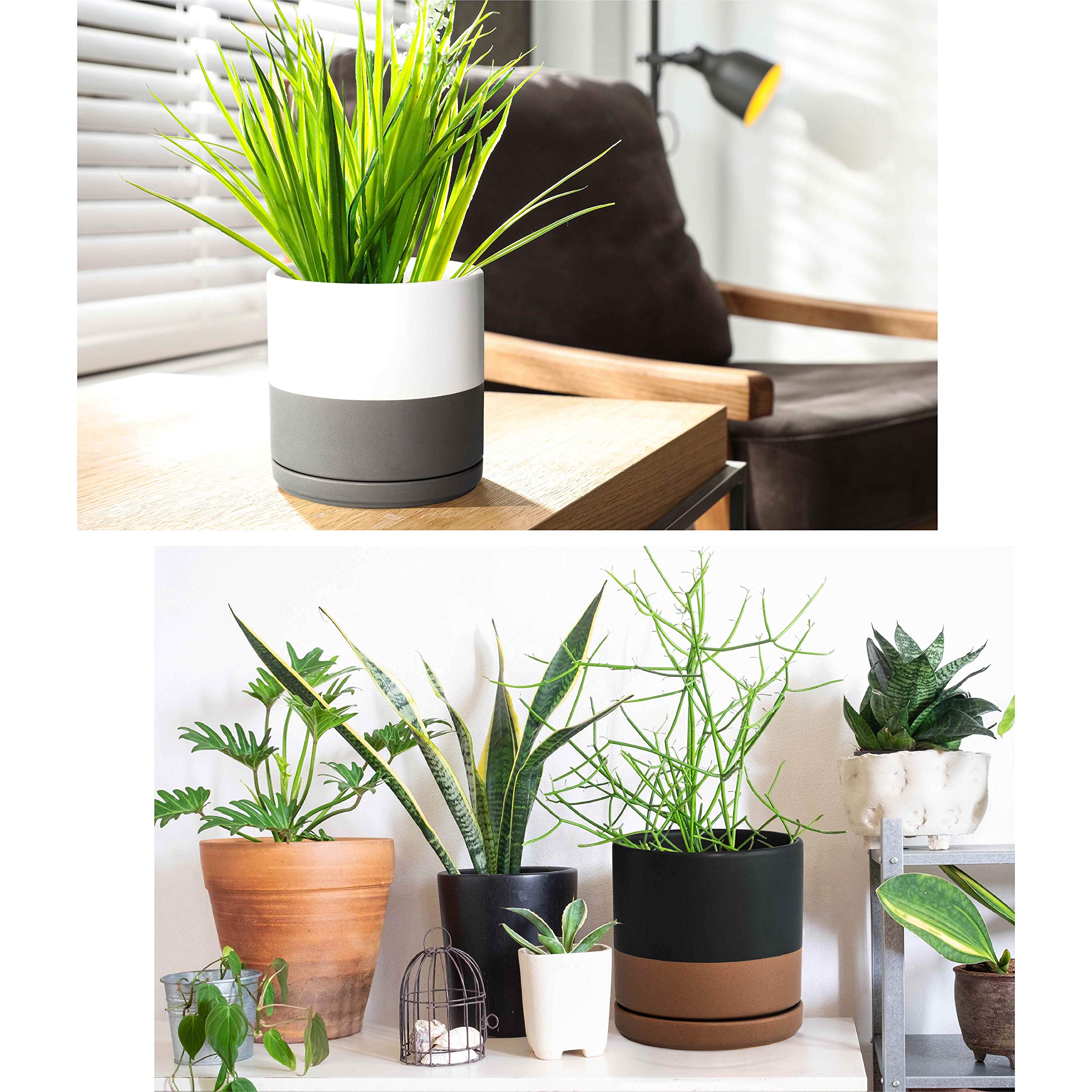 D'vine Dev mallas de drenaje y almohadillas para mantener sustrato y muebles