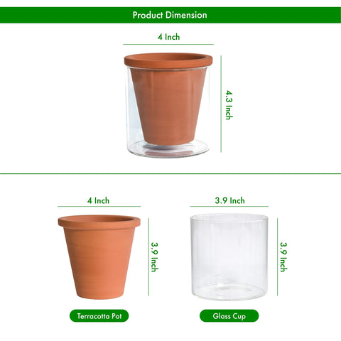 D'vine Dev vaso de cristal con nivel de agua visible y control práctico