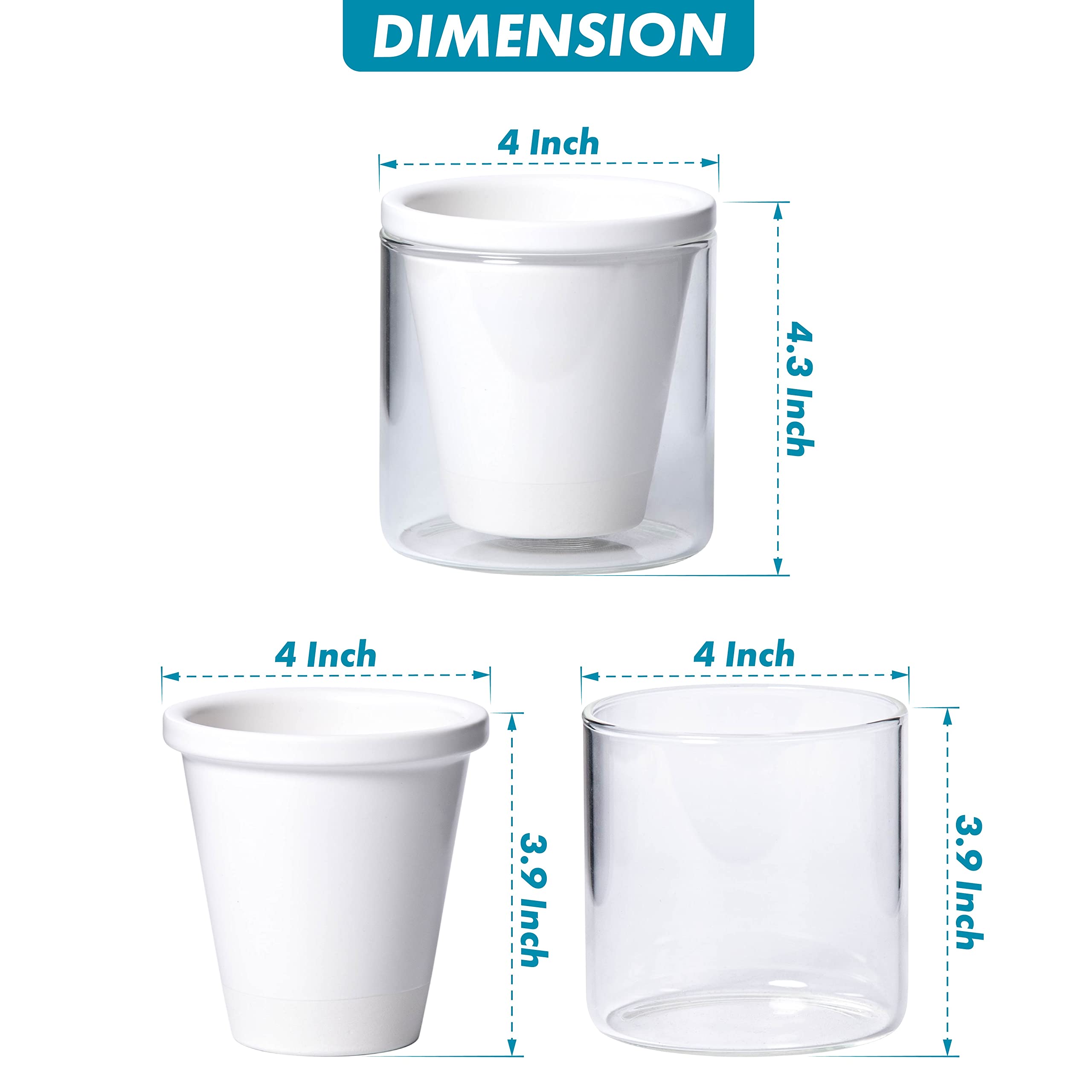 D'vine Dev vaso de vidrio con agua que facilita riego gradual