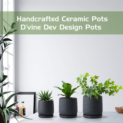 D'vine Dev maceta en ambiente decorativo combina con cualquier estilo