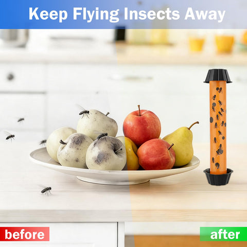 Dwcom Trap instalada en cocina sin olores ni productos químicos fuertes