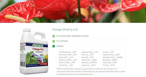 Dyna-Gro aplicado al regar plantas de interior para crecimiento controlado