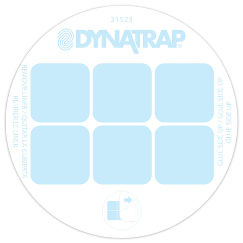 Dynatrap cartón en interior cerca de plantas para control de gnats
