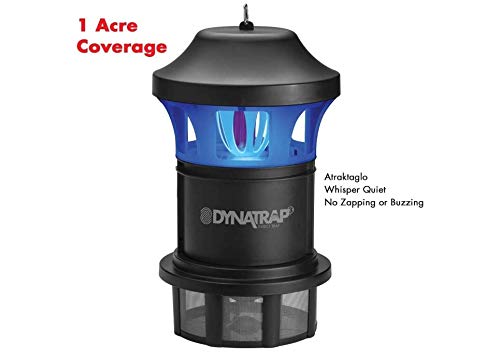 DynaTrap DT1775 junto a una silla para comparar tamaño y escala