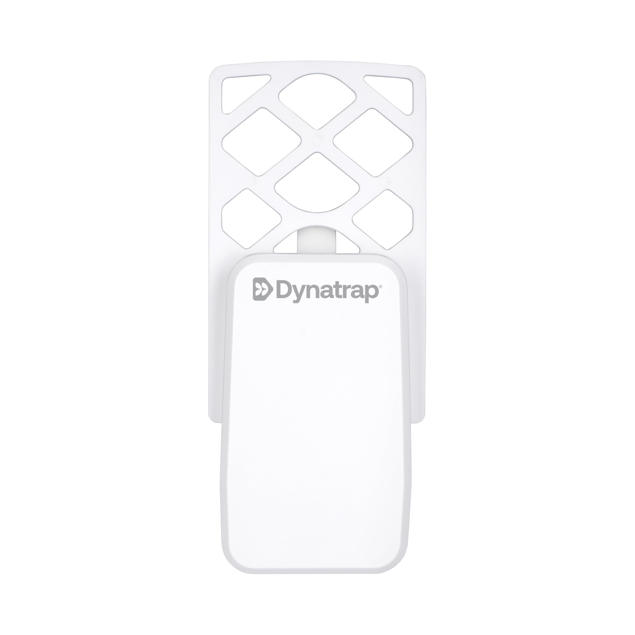 DynaTrap cartón adhesivo cerca mostrando superficie pegajosa eficaz