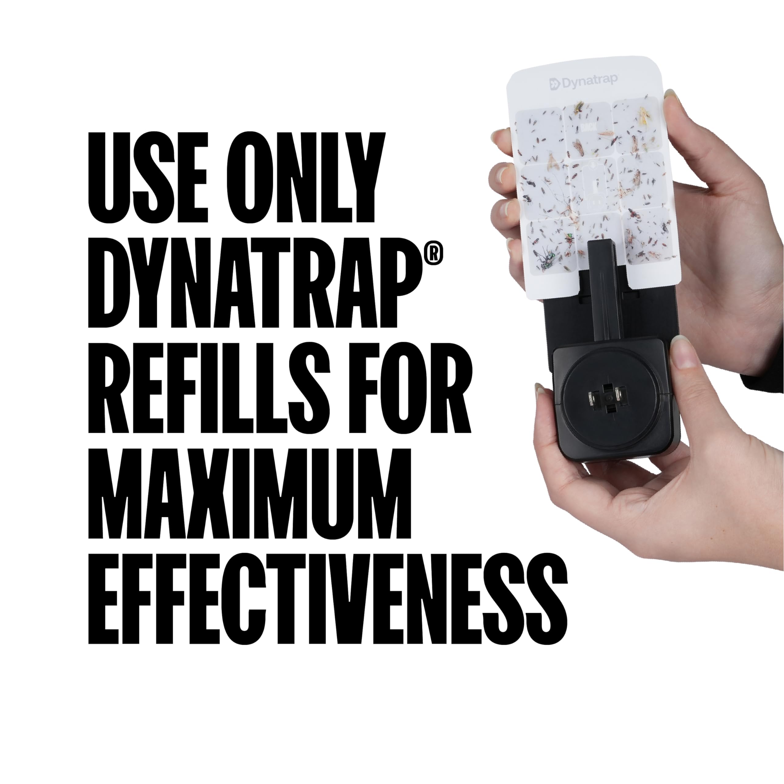 Dynatrap reverso de tarjeta ocultando insectos para mantenimiento discreto