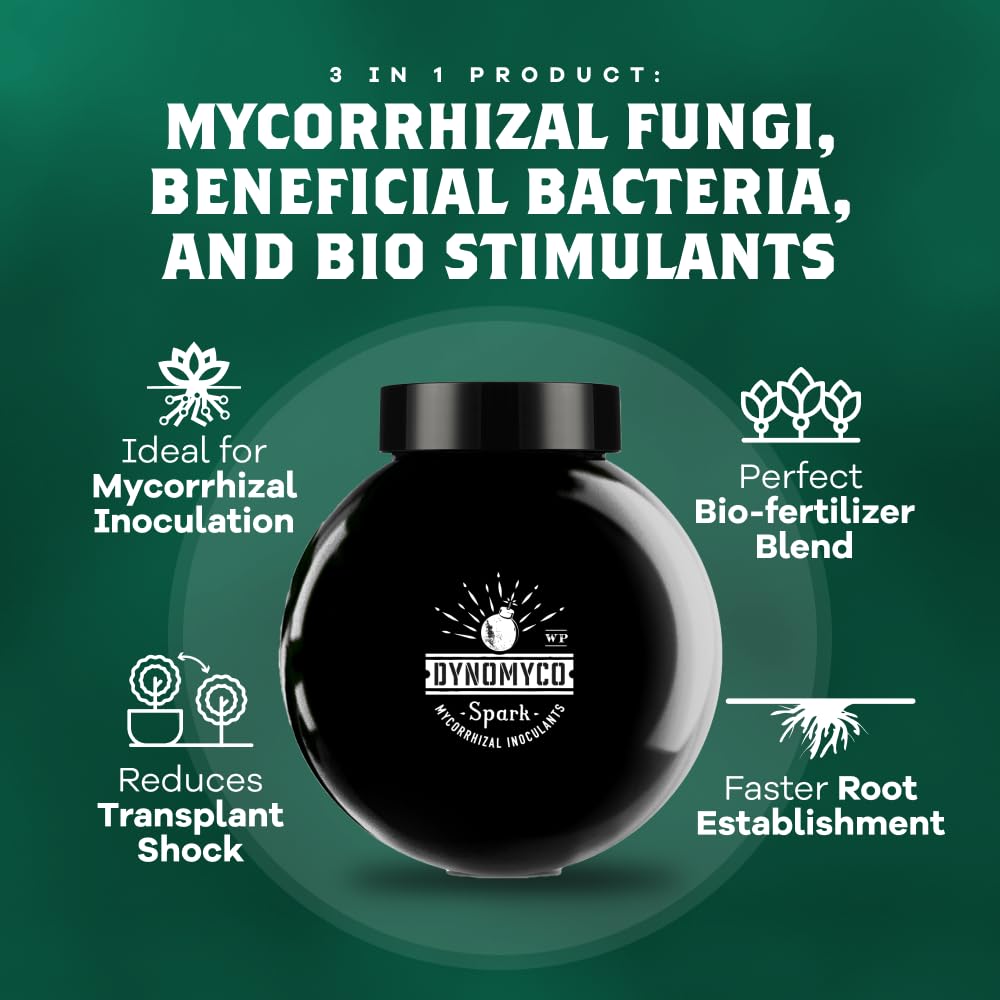 DYNOMYCO comparación de plantas tratadas mostrando mayor desarrollo visible
