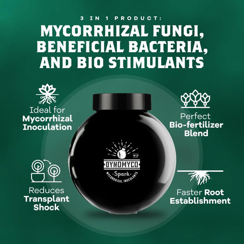 DYNOMYCO comparación de plantas tratadas mostrando mayor desarrollo visible