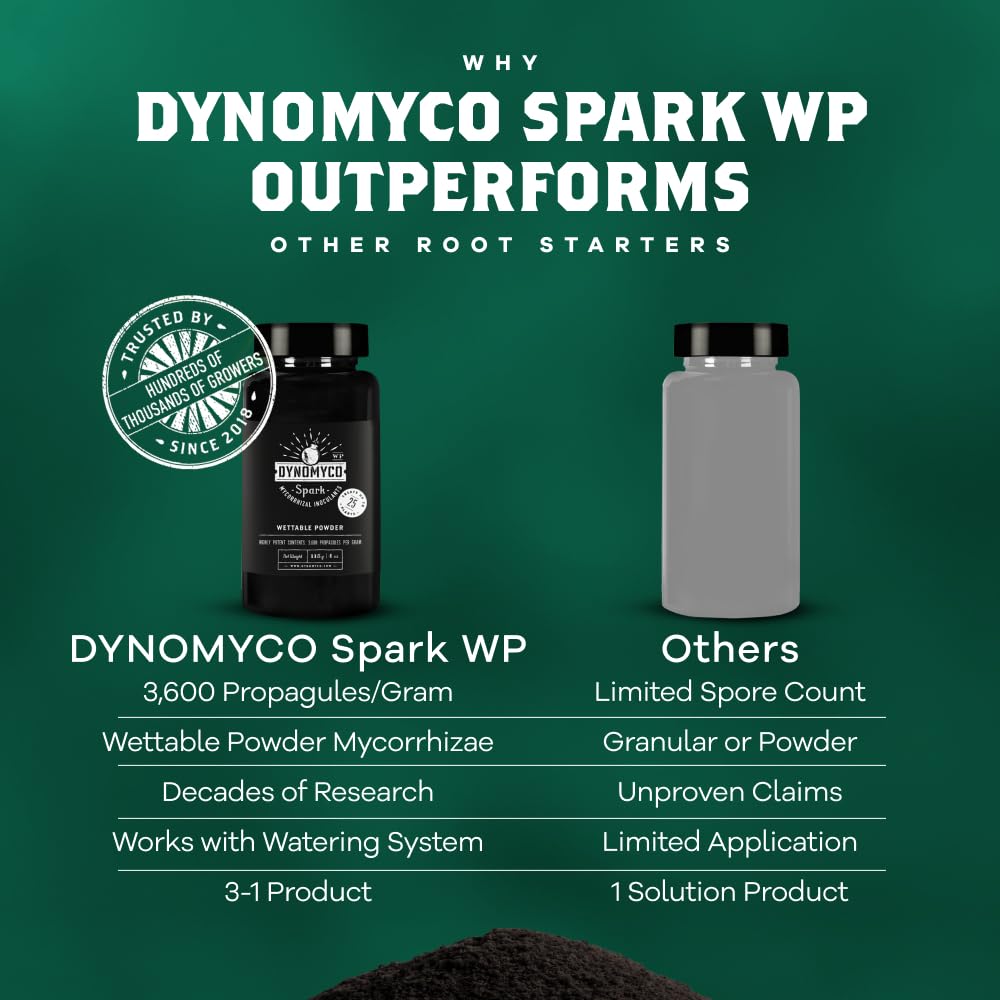 DYNOMYCO plantas saludables tras inoculación mostrando mayor vigor