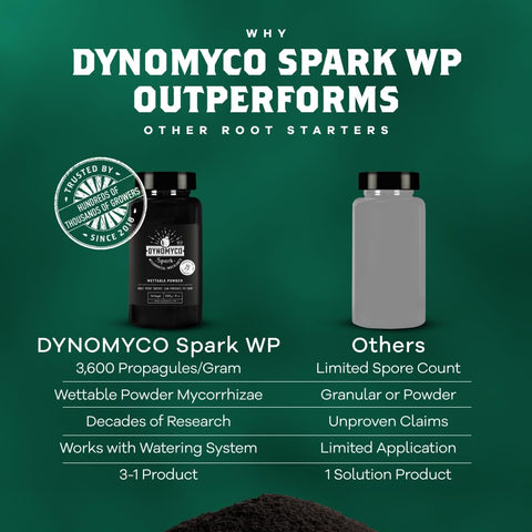 DYNOMYCO plantas saludables tras inoculación mostrando mayor vigor