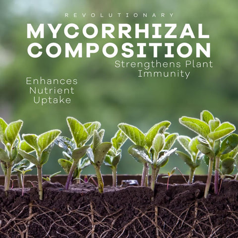 DYNOMYCO textura granular en primer plano que facilita mezcla y dosificación