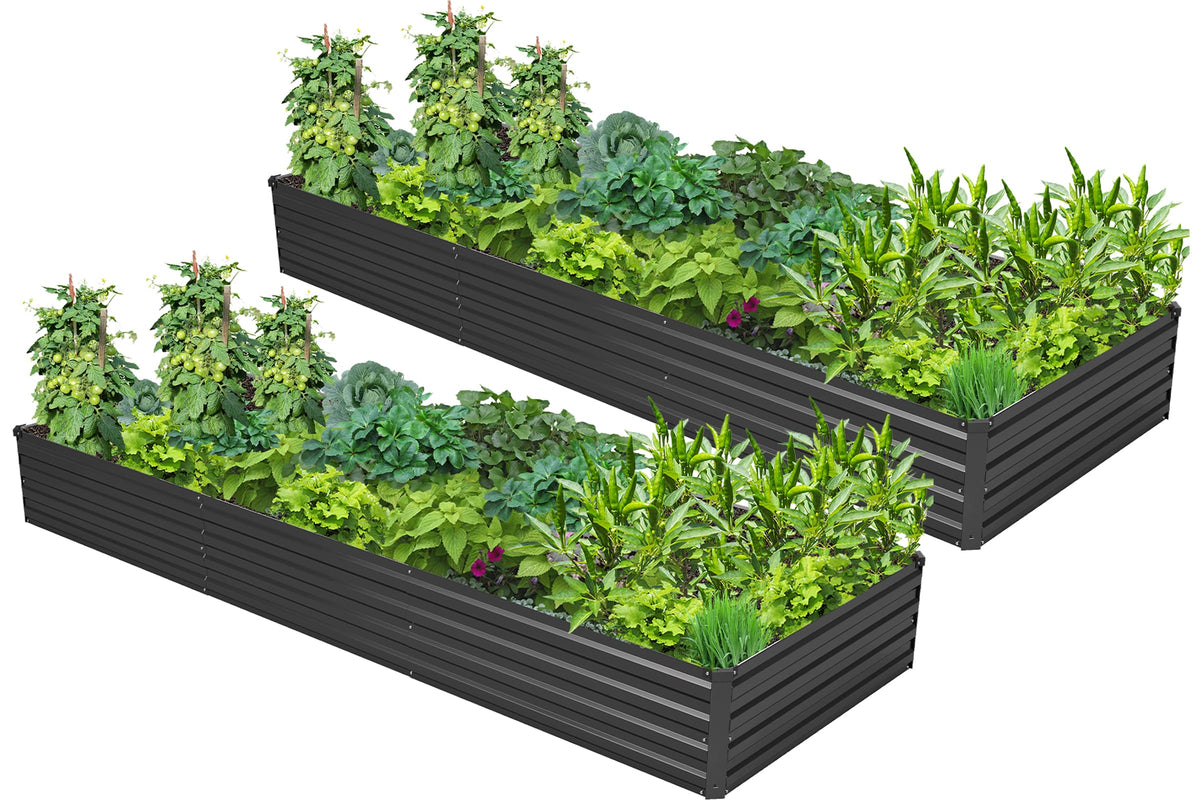 Easllre vista frontal de la cama elevade mostrando espacio de cultivo