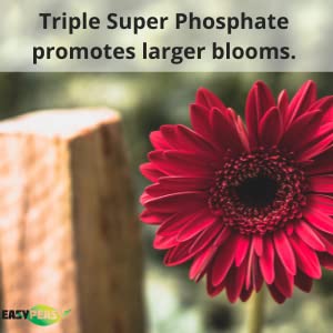 Easy Peasy esparcido alrededor de árbol frutal para mayor producción de frutos