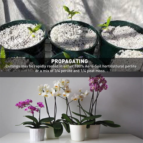 EASYGO PRODUCTS perlita en maceta promoviendo drenaje y crecimiento radicular
