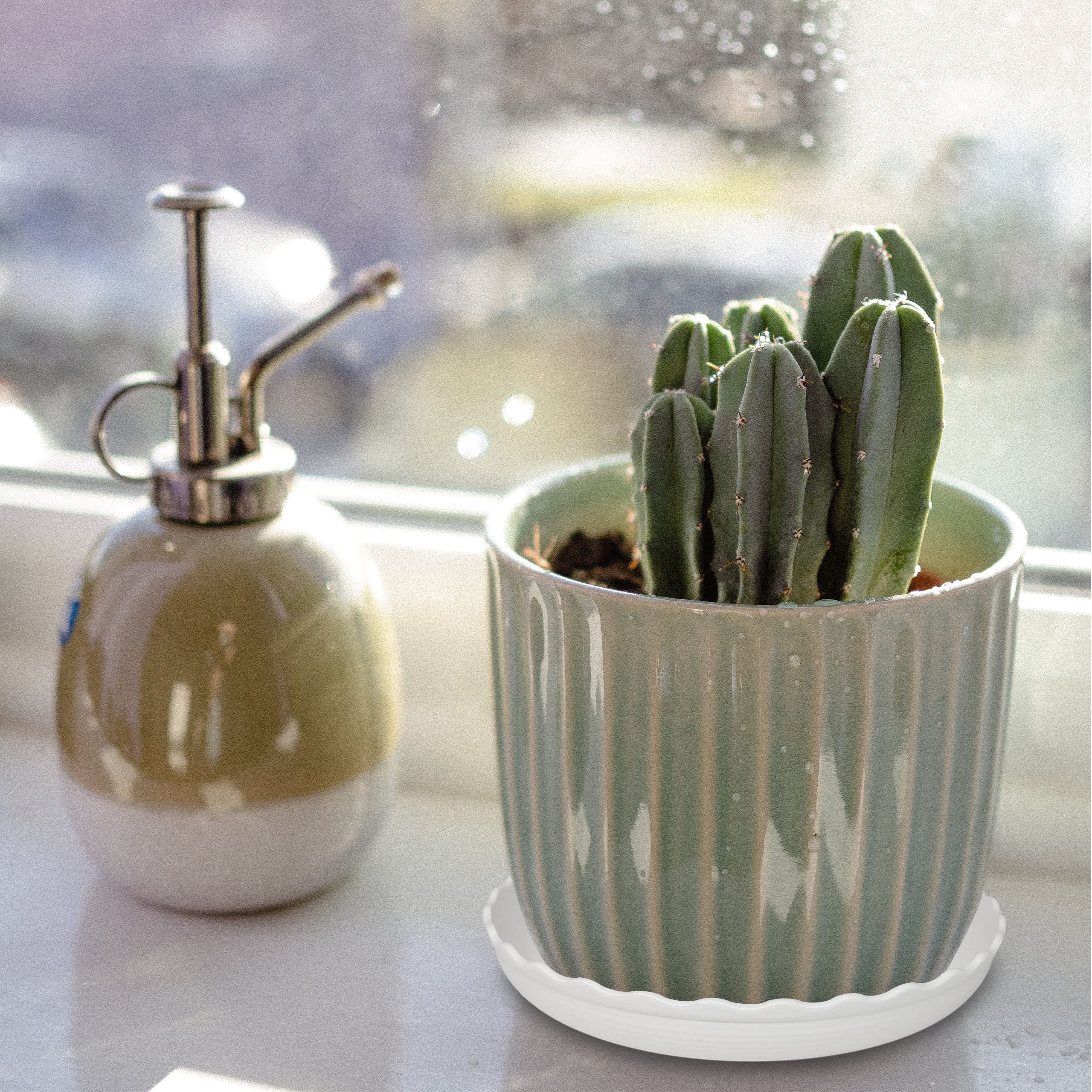 ECOESPTI bandeja en ambiente interior con plantas, estética que complementa decoración