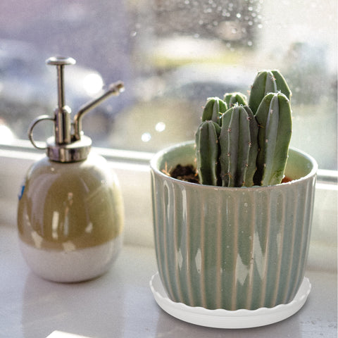 ECOESPTI bandeja en ambiente interior con plantas, estética que complementa decoración