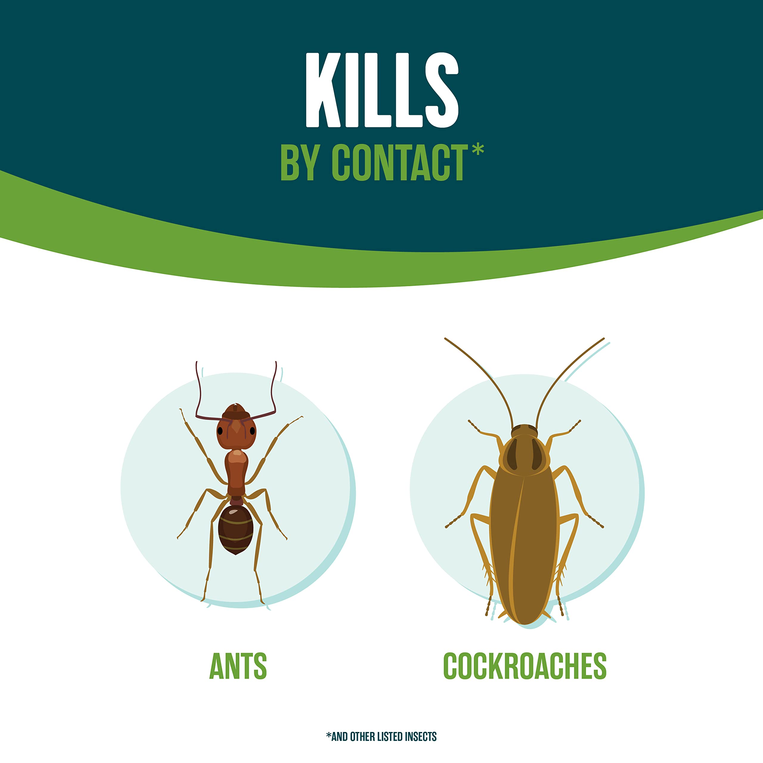 EcoLogic etiqueta con ingredientes botánicos listados, transparencia y confianza
