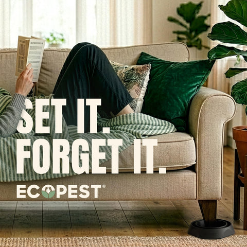 ECOPEST paquete de ocho interceptores mostrando cobertura para dos camas