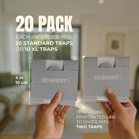ECOPEST Silverfish Trap tamaño en mano para ver escala y fácil colocación