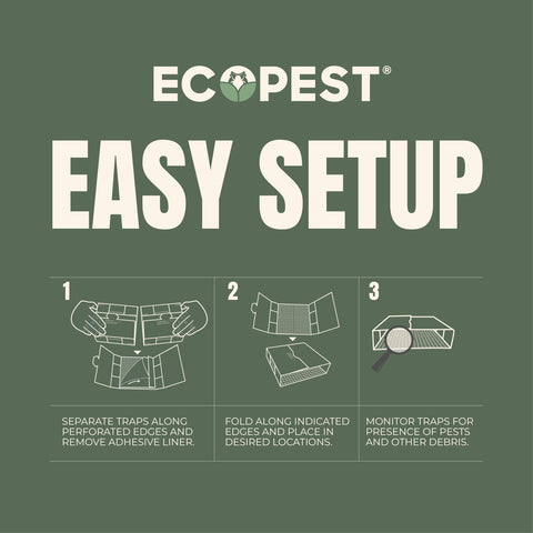 ECOPEST Silverfish Trap colocado en armario para control discreto de insectos