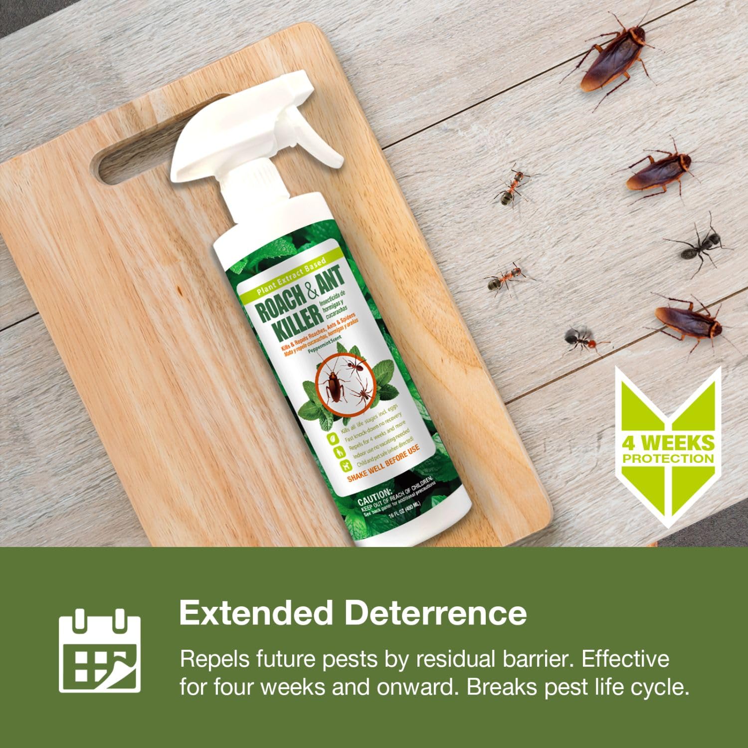 EcoVenger lado a lado con regla para mostrar tamaño práctico de 16 oz