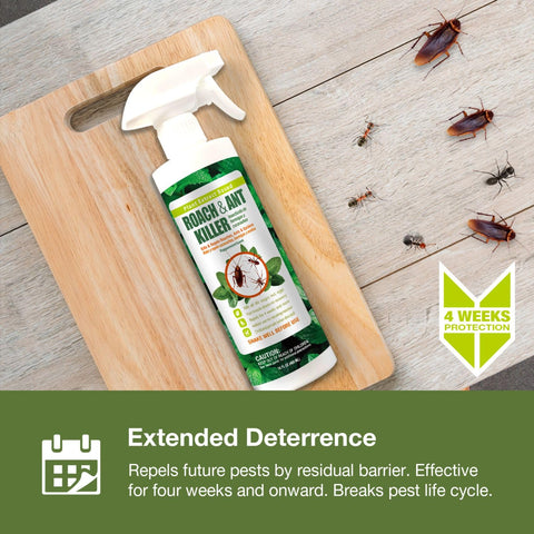 EcoVenger lado a lado con regla para mostrar tamaño práctico de 16 oz