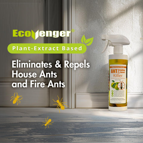EcoVenger boquilla en primer plano, detalle que facilita aplicación precisa segura