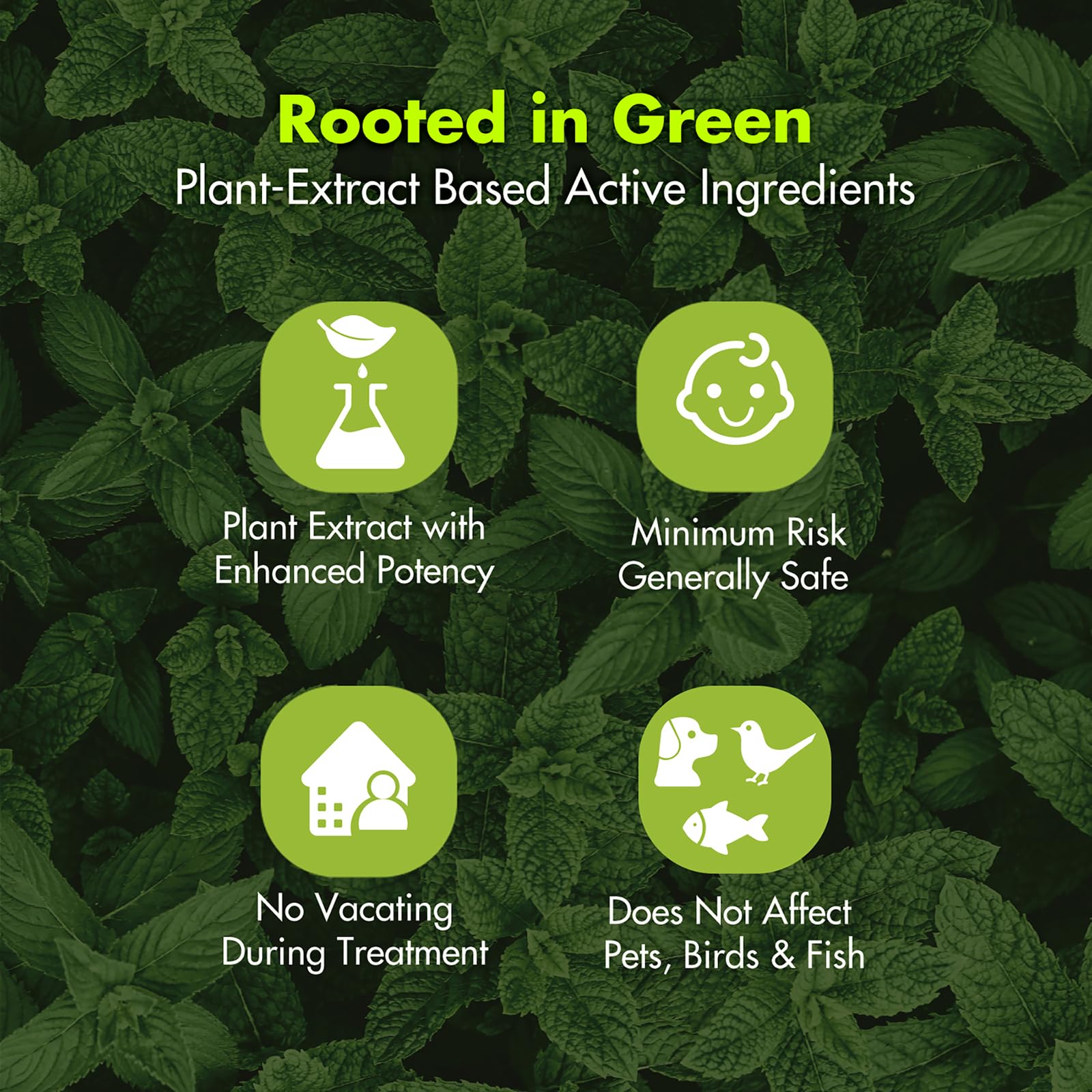 EcoVenger primer plano de hojas de menta resaltando aroma natural
