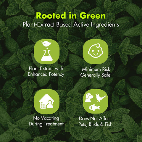 EcoVenger primer plano de hojas de menta resaltando aroma natural