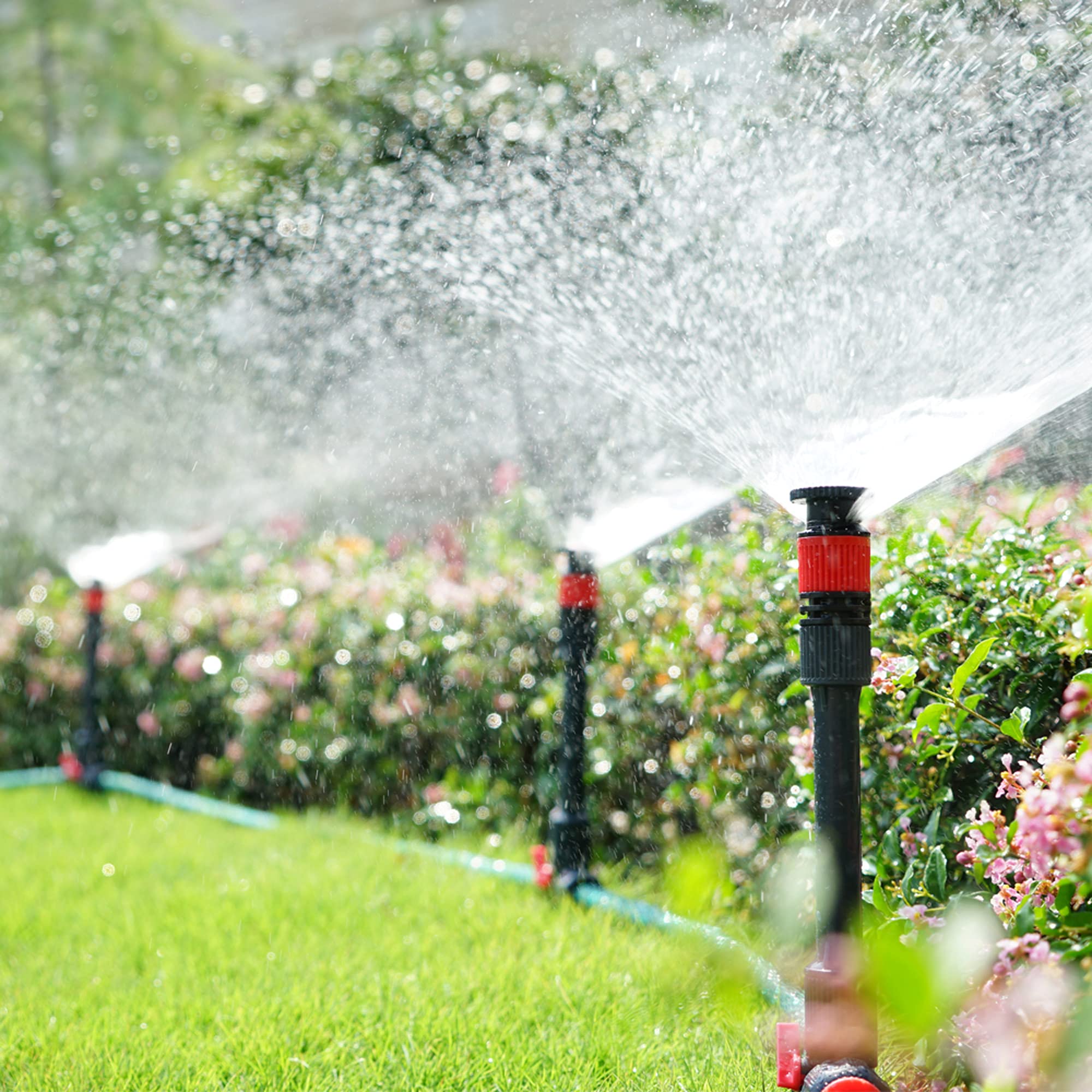 Eden aspersores instalados en jardín regando plantas y optimizando cobertura