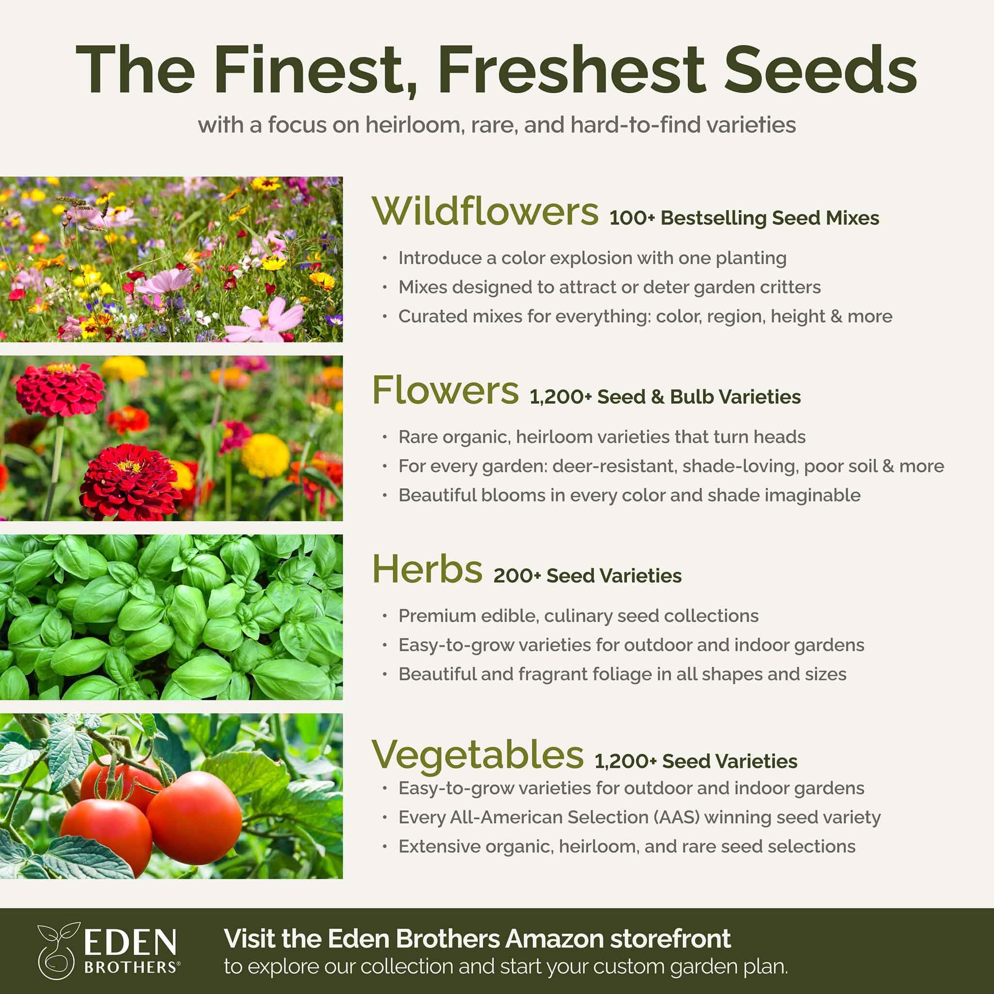 Eden Brothers entorno exterior con flores, ejemplo de resultado paisajístico y biodiversidad