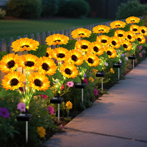EDOF frontal del empaque mostrando 6 varillas y 36 girasoles, ideal para decoración