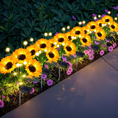 EDOF girasol frontal paquete mostrando seis flores y efecto decorativo