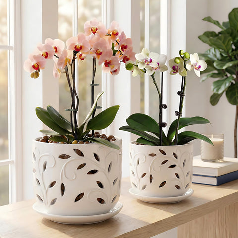 EFISPSS maceta en interior con orquídea mostrando presentación elegante