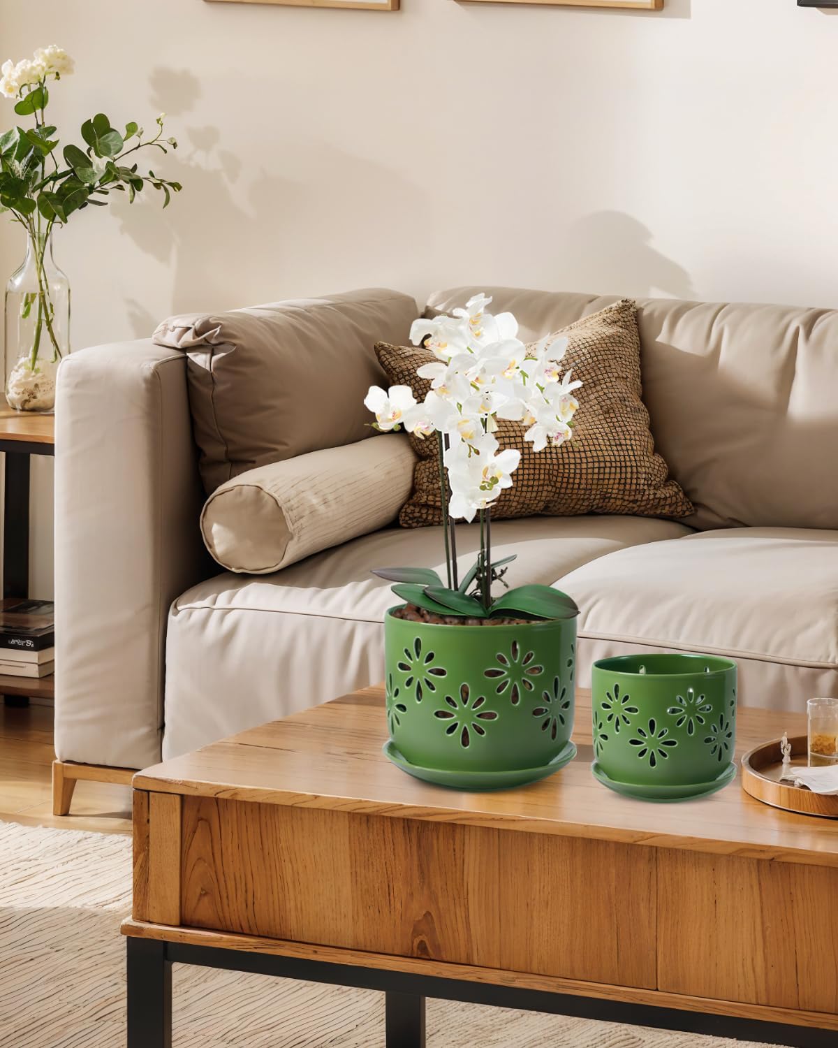 EFISPSS maceta en salón mostrando cómo decora ambientes interiores