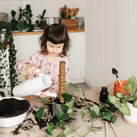 Eibikdi ambiente decorativo en salón con postes integrados y aspecto natural