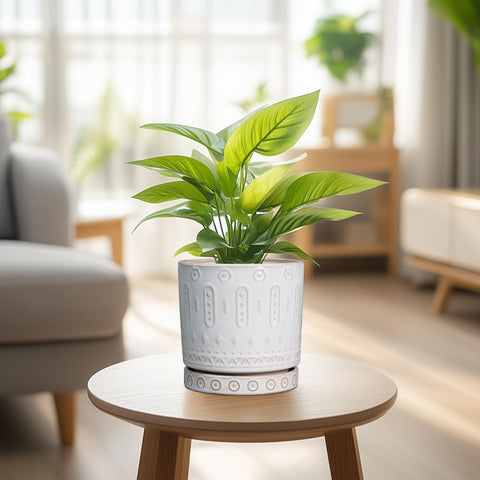 Eightpot comparación de tamaño con mano mostrando proporción y facilidad de colocación