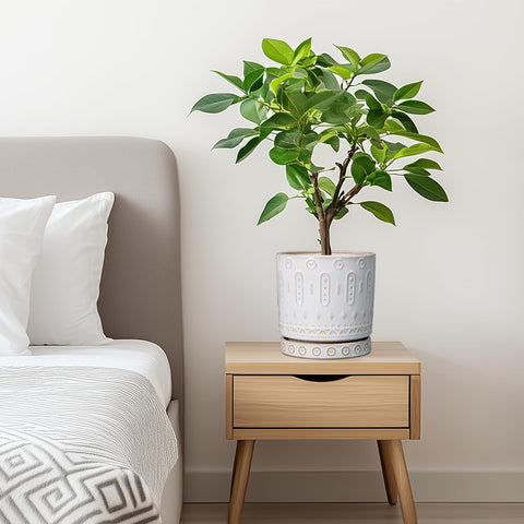 Eightpot etiqueta con dimensiones y material para identificar medidas exactas