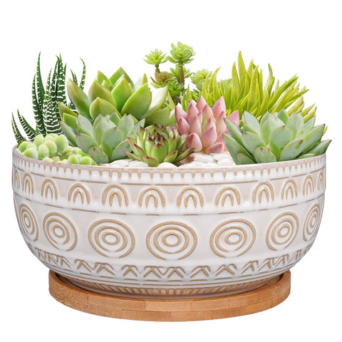 Eightpot vista frontal de maceta cerámica blanca, elegante y práctica