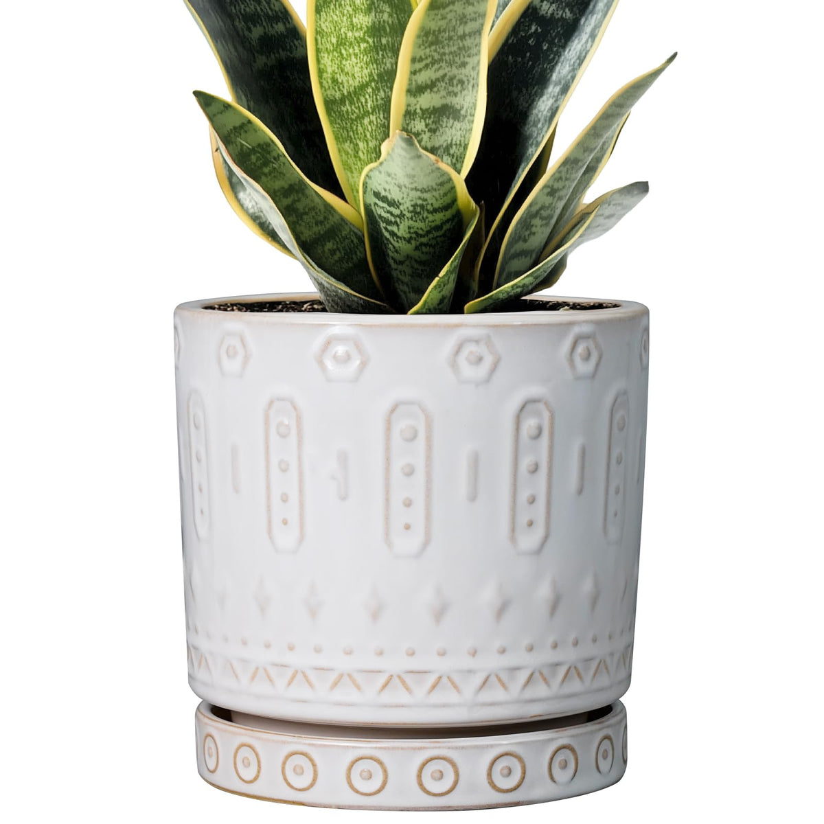 Eightpot vista frontal de maceta cerámica blanca con diseño elegante y beneficio decorativo
