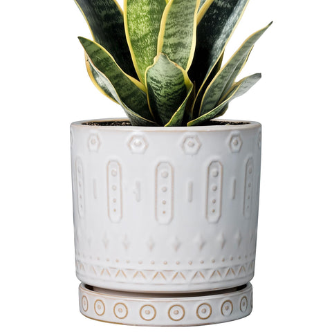 Eightpot vista frontal de maceta cerámica blanca con diseño elegante y beneficio decorativo