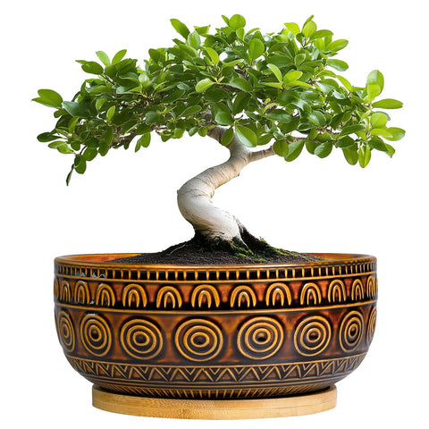 Eightpot maceta frontal boho marrón mostrando forma y patrón geométrico