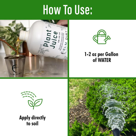 Elm Dirt botella junto a una regla para comparar tamaño práctico