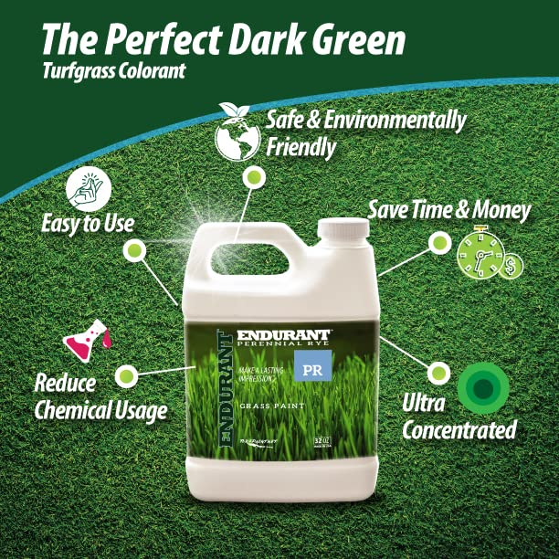 Endurant comparación antes y después realzando tono verde