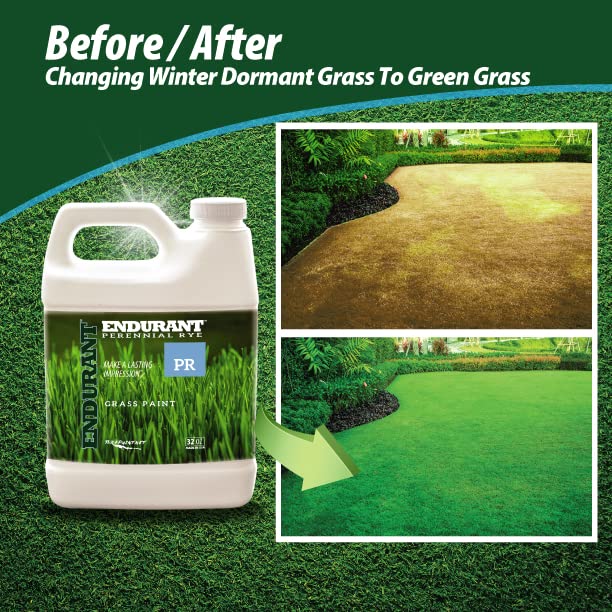Endurant concentrado mostrando textura y mezcla fácil