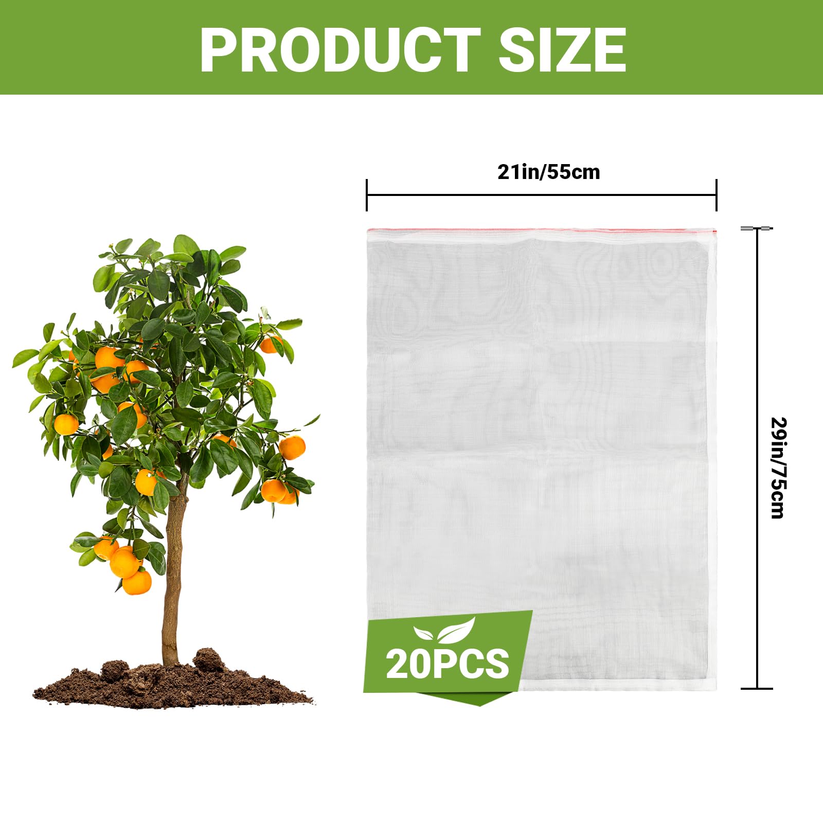 ENPOINT bolsa colocada en planta de plátano protegiendo fruto