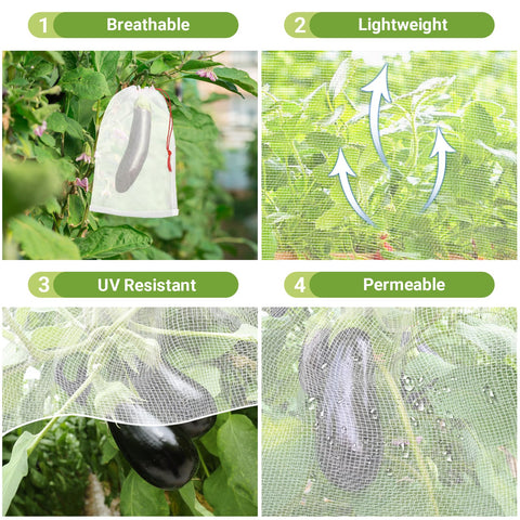 ENPOINT bolsa cubriendo racimo de uvas evita aves e insectos